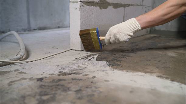 24/7 Emergency Crawl Space Encapsulation experts in Sparta, KY